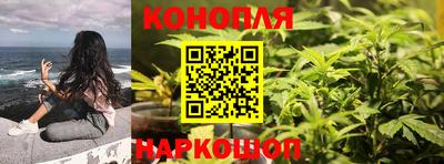PSILOCYBIN Гатчина