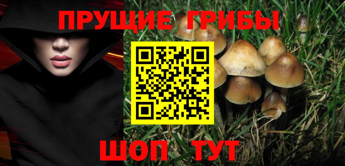 Мурманск  Псилоцибиновые грибы ЛСД  Галлюциногенные грибы мицелий  Вход с VPN 